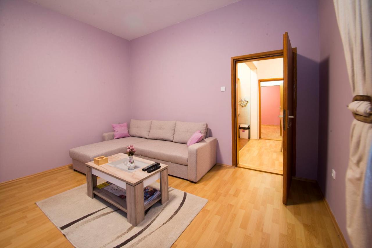 דירות בלגרד Sasa House מראה חיצוני תמונה